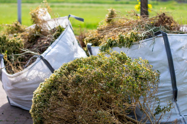 Best Hoarding Cleanup  in Rlborough, MA